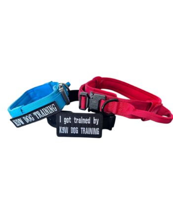 K9W Dog Training Collar