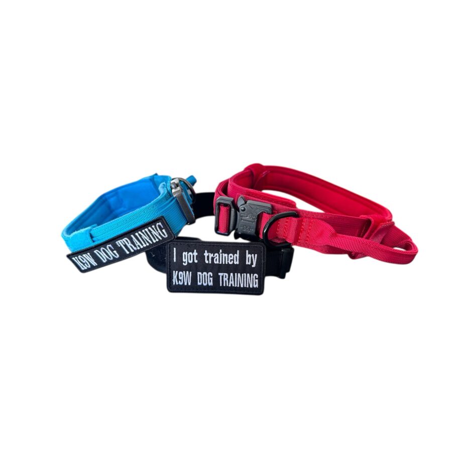 K9W Dog Training Collar